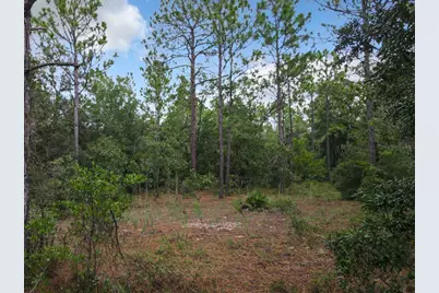 100th St, Ocala, FL 34481 - Photo 4