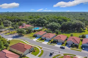 3105 Sangria St, Kissimmee, FL 34744 - Photo 8