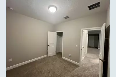 12253 S Bracco Street, Winter Garden, FL 34787 - Photo 14