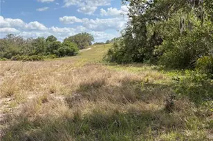 645 Dicks Rd, Babson Park, FL 33827 - Photo 1