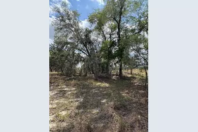 0 Dicks Road, Babson Park, FL 33827 - Photo 6