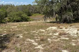 0 Dicks Rd, Babson Park, FL 33827 - Photo 1