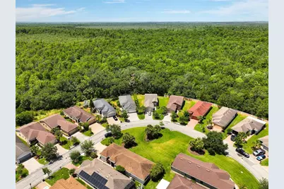 1306 Harbor Ridge Drive, Kissimmee, FL 34759 - Photo 6