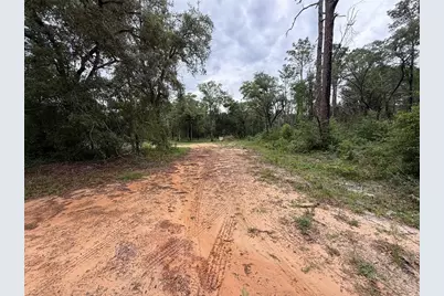 10155 SW 158th Lane, Dunnellon, FL 34432 - Photo 1