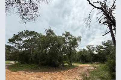 10155 SW 158th Lane, Dunnellon, FL 34432 - Photo 2