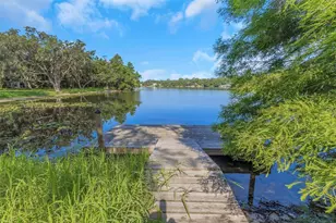 5151 Puritan Cir, Tampa, FL 33617 - Photo 48