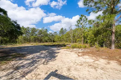 3178 W Deltona Boulevard, Dunnellon, FL 34433 - Photo 30