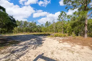 3178 W Deltona Blvd, Dunnellon, FL 34433 - Photo 30