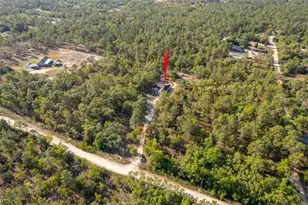 3178 W Deltona Blvd, Dunnellon, FL 34433 - Photo 6