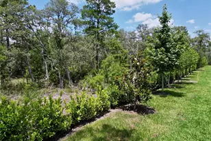 1425 Serendipity Ln, Clermont, FL 34714 - Photo 76