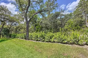 1425 Serendipity Ln, Clermont, FL 34714 - Photo 74