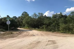 2610 N Rehrer Rd, Avon Park, FL 33825 - Photo 2