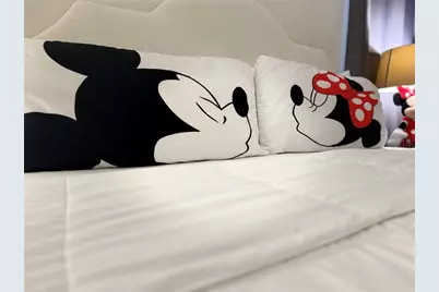 2514 Dharma Circle, Kissimmee, FL 34746 - Photo 12