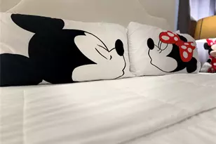 2514 Dharma Cir, Kissimmee, FL 34746 - Photo 12