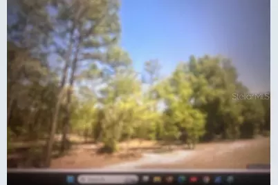 0 SW 207 Court, Dunnellon, FL 34431 - Photo 1