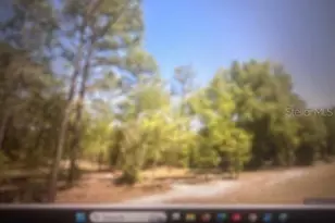 0 SW 207 Ct, Dunnellon, FL 34431 - Photo 1