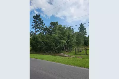 Ralston Street, Orlando, FL 32833 - Photo 6