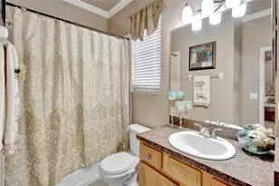 6932 Gray Catbird Loop, Wesley Chapel, FL 33545 - Photo 14