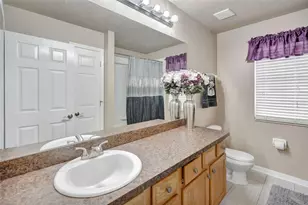 6932 Gray Catbird Loop, Wesley Chapel, FL 33545 - Photo 16