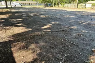 513 Lincoln Ave, Mount Dora, FL 32757 - Photo 1