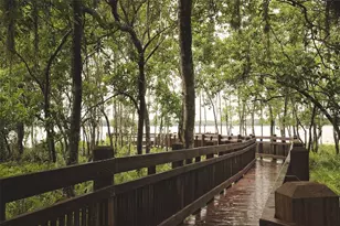 6834 Habitat Dr, Harmony, FL 34773 - Photo 58