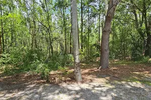 8821 Coral Palms Ct, Kissimmee, FL 34747 - Photo 20