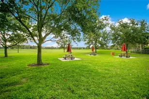 4918 Wildwood Pointe Rd, Winter Garden, FL 34787 - Photo 28