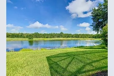 418 Treviso Drive, Kissimmee, FL 34759 - Photo 56