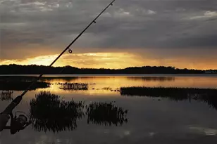 6905 Beargrass Rd, Saint Cloud, FL 34773 - Photo 46