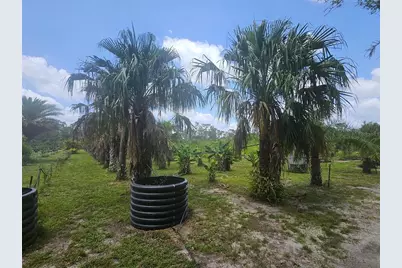 21910 Taylor Drive, Bradenton, FL 34211 - Photo 8