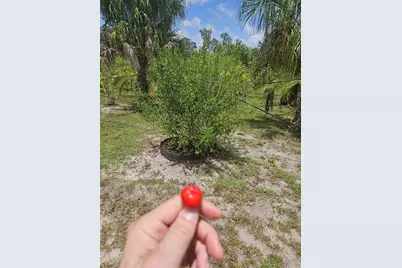 21910 Taylor Drive, Bradenton, FL 34211 - Photo 16