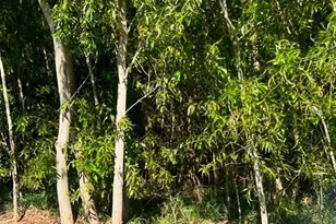 4941 NW Foxworth Ave, Port Saint Lucie, FL 34983 - Photo 1