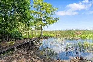 2571 Ames Haven Rd, Kissimmee, FL 34744 - Photo 74