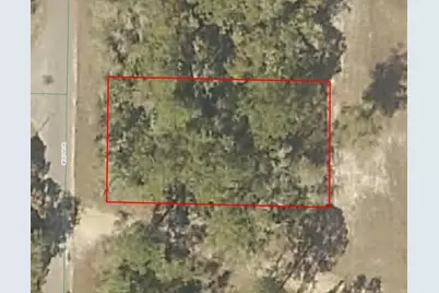 Sequoia Drive, Ocklawaha, FL 32179 - Photo 1