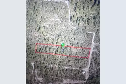 795 4th Street E, Osteen, FL 32764 - Photo 6