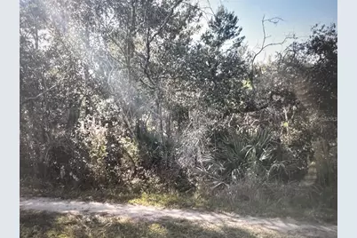 795 4th Street E, Osteen, FL 32764 - Photo 4