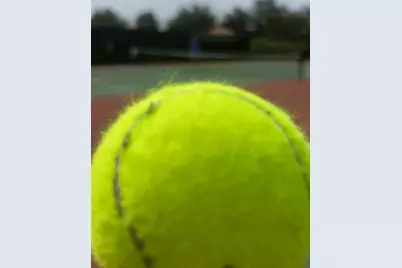 1591 Barberry Drive, Kissimmee, FL 34744 - Photo 22