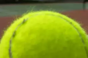 1591 Barberry Dr, Kissimmee, FL 34744 - Photo 22