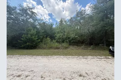 Tbd 98th Street, Dunnellon, FL 34432 - Photo 1