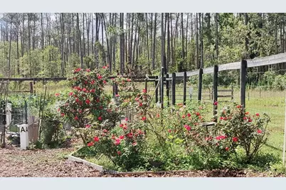 3184 Songbird Circle, Harmony, FL 34773 - Photo 50