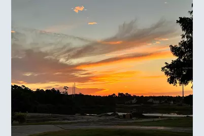 3407 Santa Monica Drive, Orlando, FL 32822 - Photo 34