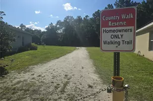 10722 Clover Walk Dr, Orlando, FL 32825 - Photo 58