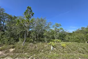 112 Tench Dr, Kissimmee, FL 34759 - Photo 1