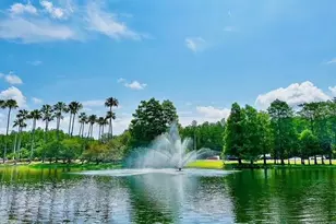 13500 Turtle Marsh Loop, Orlando, FL 32837 - Photo 4