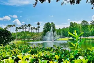 13500 Turtle Marsh Loop, Orlando, FL 32837 - Photo 28