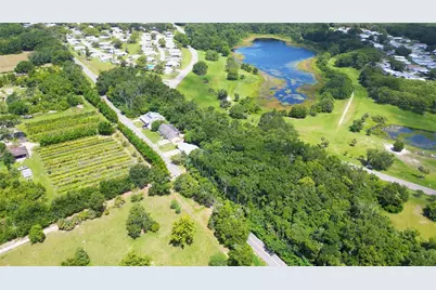 3805 Cohen Drive, Zellwood, FL 32798 - Photo 4