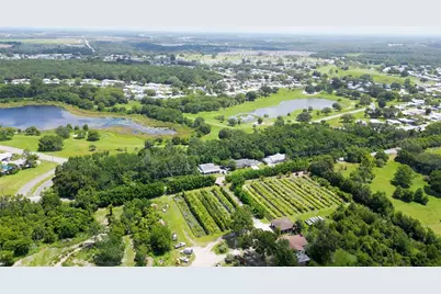 3805 Cohen Drive, Zellwood, FL 32798 - Photo 6