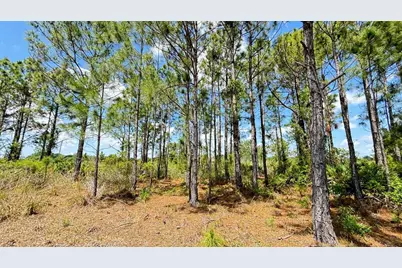 18121 NW 304th Street, Okeechobee, FL 34972 - Photo 6