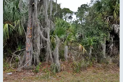 Shady Avenue, North Port, FL 34286 - Photo 2