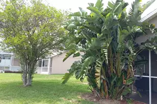 1039 Via Bianca Dr, Davenport, FL 33896 - Photo 4